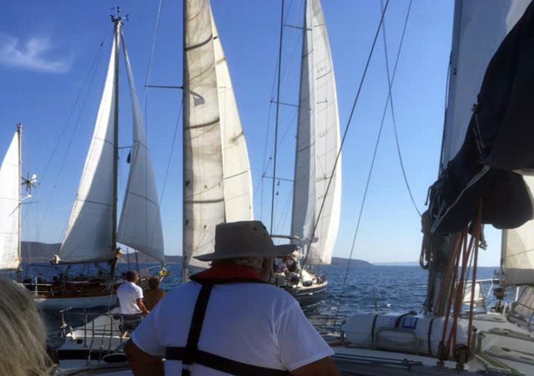 70170027_1334167256747543_5559055108416733184_n