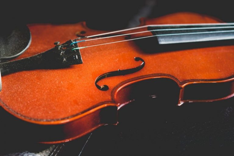 violi-e1506936931943