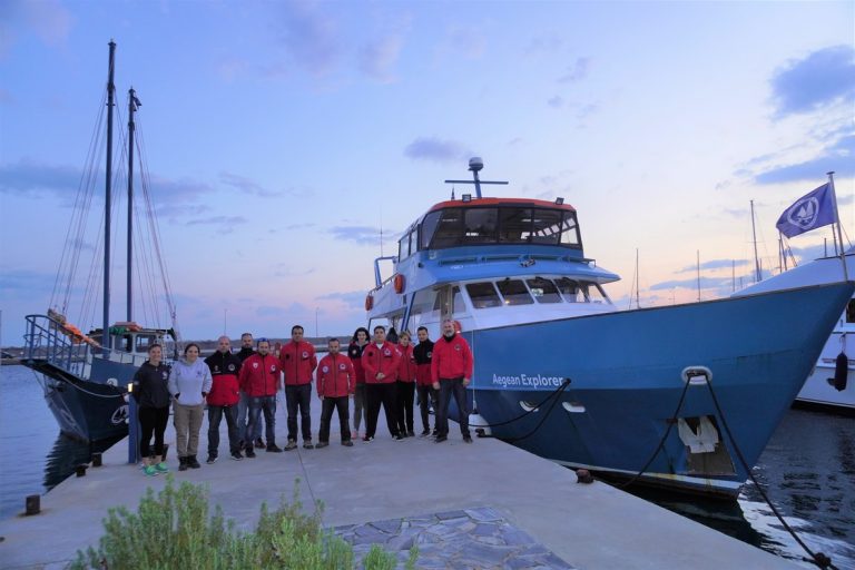 DSC08419__2_