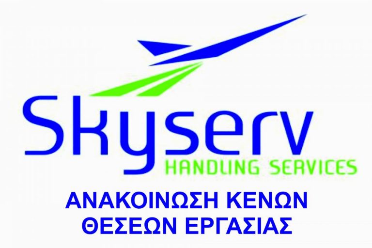 skyserv-1050x700