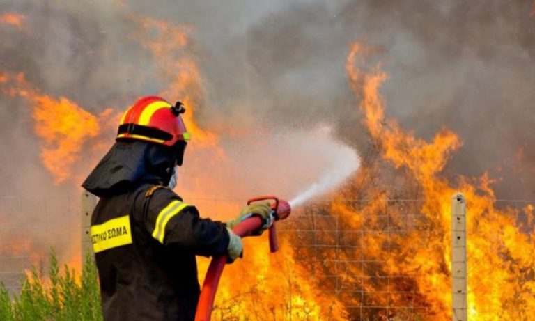 b_fotia