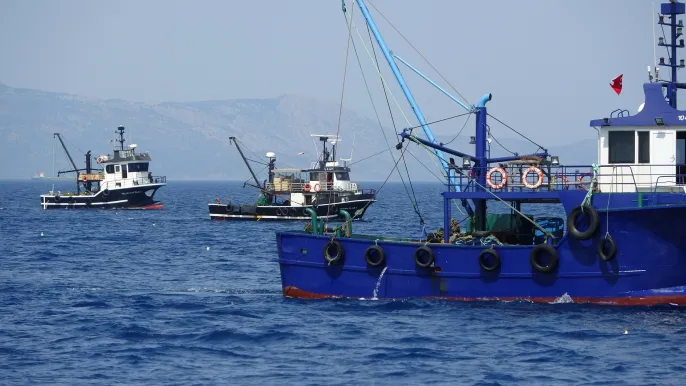 Παράνομη αλιεία από τέσσερις τουρκικές μηχανότρατες σε Σάμο, Φούρνους και Πάτμο, καταγγέλλει το Αρχιπέλαγος