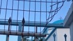 Περίφραξη του Δημοτικού Σχολείου Μυτιληνιών