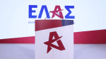 Νεκρό δελφίνι εντοπίστηκε στο Μαλαγάρι
